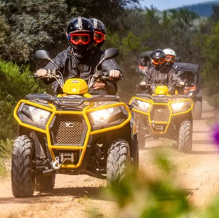 atv safari