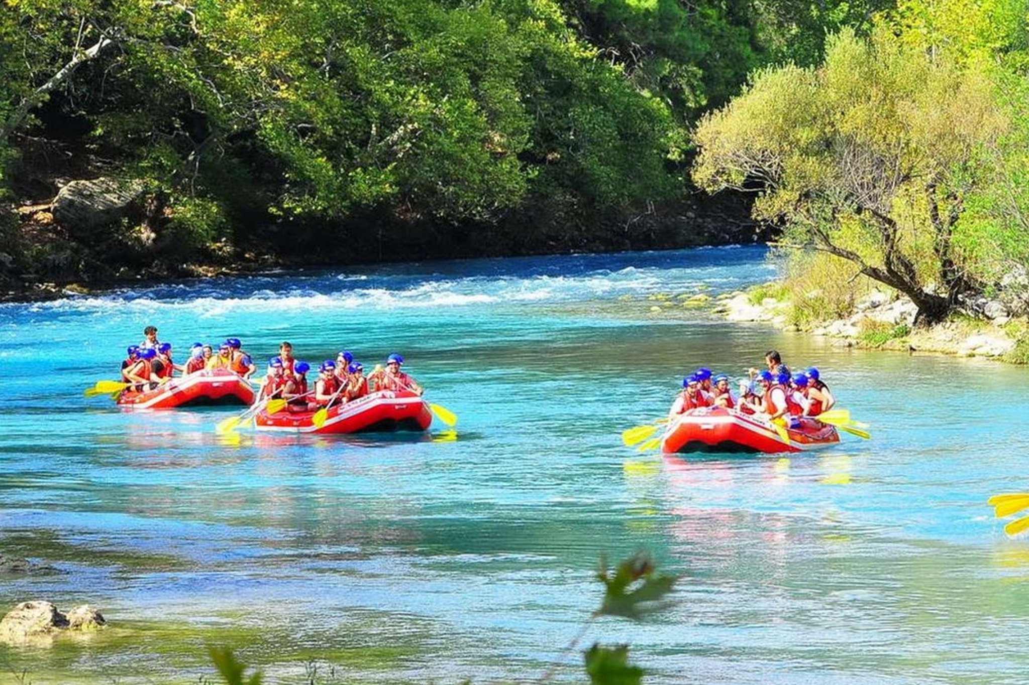 Fırtına Vadisi Rafting